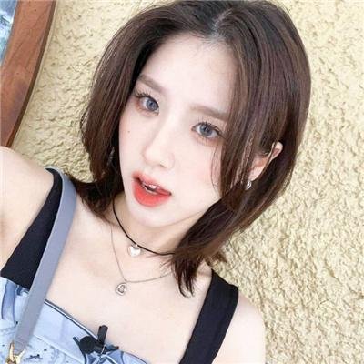 母牛